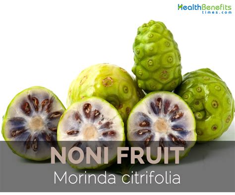 Noni Fruit Facts Health Benefits And Nutritional Value