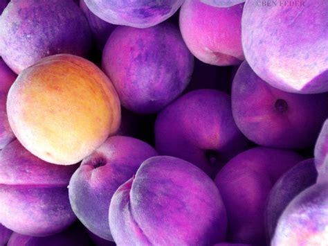 Purple Peach Nature Color Palette Blog Colors Purple