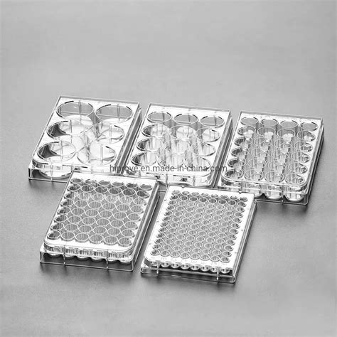 Medical Lab Plastic Sterile 96 Well Tissue Cell Culture Microplate