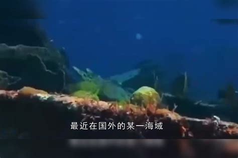 美人鱼被海水冲上岸，人们纷纷围观，结果老人一眼认出来是“他”上岸老人海水