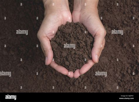 Hand Of Male Holding Soil In The Hands For Planting Stock Photo Alamy