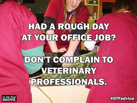 Seriously Vet Tech Humor Vet Tech Quotes Veterinary Tech