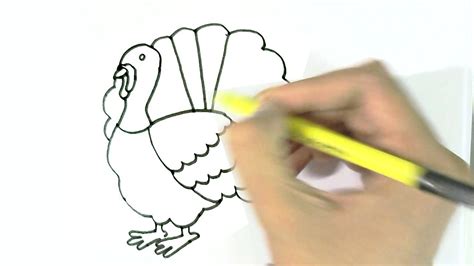 How To Draw A Turkey Step By Step