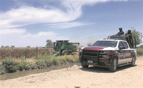 Policía De Ahome Vigila Que No Se Cometan Robos De Maíz