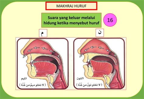 Makhraj Dan Sifat Pdf