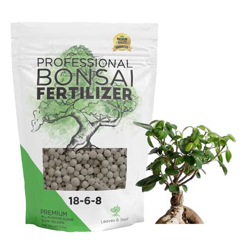 Best Fertilizer for Bonsai Trees: A Comprehensive Guide - Foliage ...