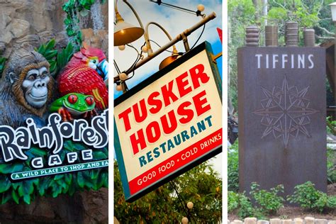 4 Best Animal Kingdom Restaurants (ranked honestly)