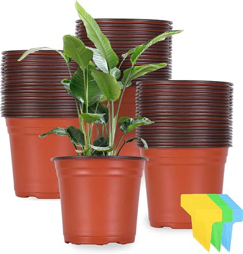 Buy Kleeblatt Pcs Nursery Pots Inch Plastic Planter Nursery Pots