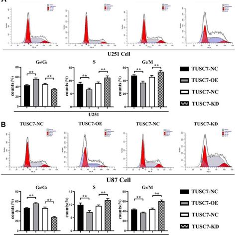 Overexpression Of Tusc Suppressed Proliferation Of Glioma Cells A