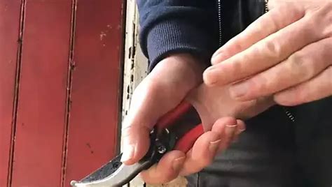 Free Foreskin Compilation Gay Porn Videos Xhamster