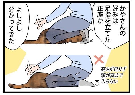 挟まられる① 保護猫かやさん～凛々しいサビ猫様と私～