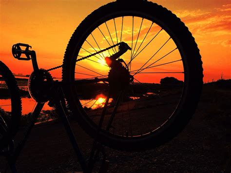 Fondos De Pantalla Ligero Puesta De Sol Sol Bicicleta Rueda