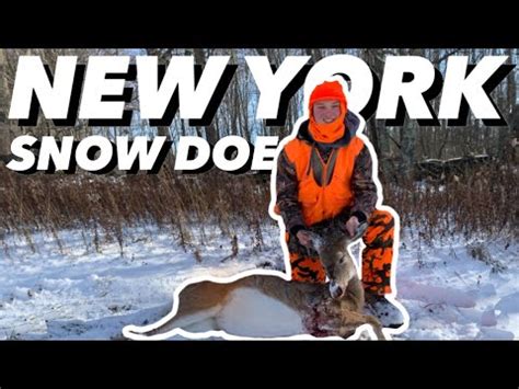 New York Deer Hunting 2022 DOE DOWN KW W YouTube