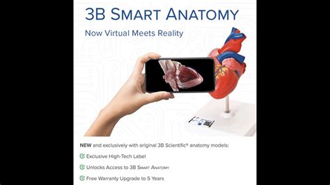 3b Smart Anatomy The Next Level Of Anatomy Education Where Virtual Meet Reality Youtube