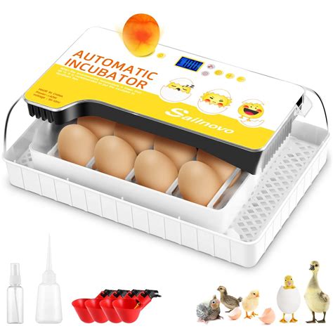 Buy Sailnovoincubator Fully Automatic Chicken Eggs Incubator Eggs