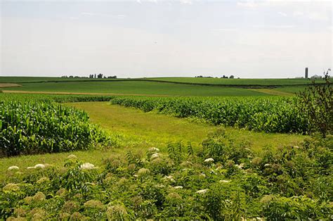 190 Madison County Iowa Photos Stock Photos Pictures And Royalty Free