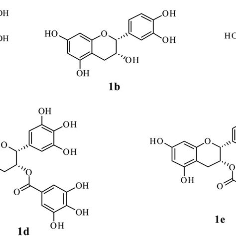 Chemical Structure Of Major Catechins In Tea 1a Catechin 1b Download Scientific