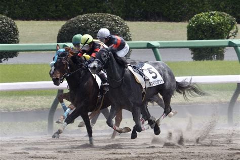 【中山5r】ペイシャエスが5馬身差圧勝 競馬ニュースなら競馬のおはなし