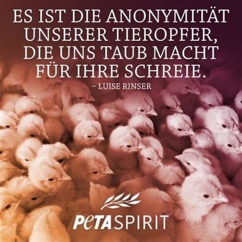 Pin von Sylvia 64 auf Tier Sprüche 64 Vegetarier zitate Veganer