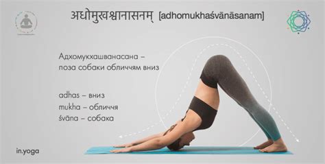 Сур’я-намаскар - Ukrainian Federation of Yoga