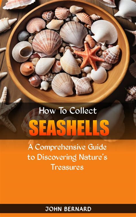 Amazon How To Collect Seashells A Comprehensive Guide To