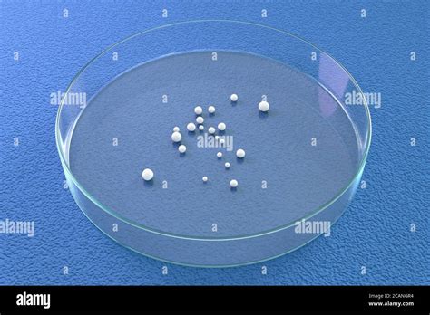 Organoides fotografías e imágenes de alta resolución Alamy