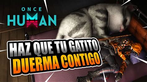 ¡duerme Con Tu Gato Deviant Extradimensional Cat En Once Human Youtube