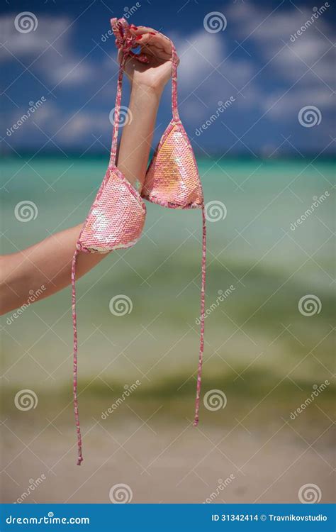 Woman Hand Hold Pink Bra Isolated On Exotic Stock Photo Image Of Boobs Lingerie