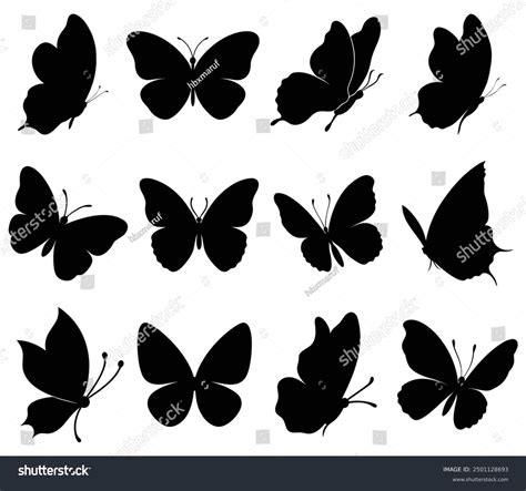 Set Butterfly Silhouettes Isolated Vector On Stock Vector Royalty Free