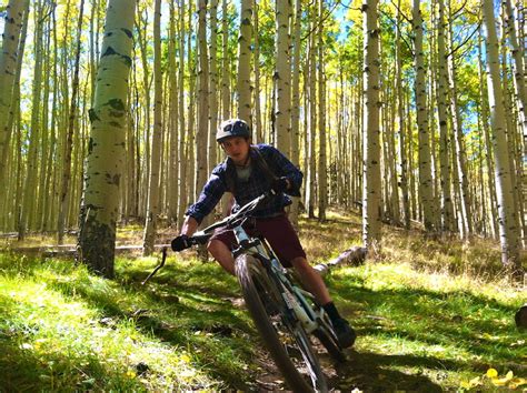 Inner Basin Trail Multi Trail Flagstaff Arizona