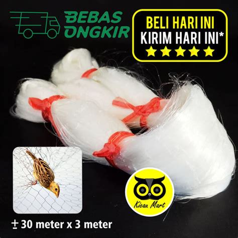 Jual Jaring Sawah Padi Jaring Burung Pipit Emprit Bird Net 0 12 3