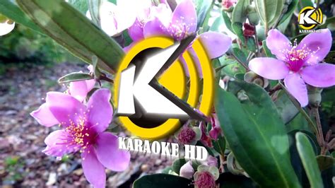 Karaoke Hd I T M Hoa Sim Tone Nam Youtube