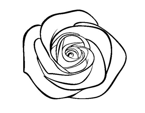 Dibujo de Flor de rosa para Colorear - Dibujos.net