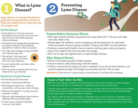 LymeLight Foundation Lyme Awareness Brochure LymeLight Foundation