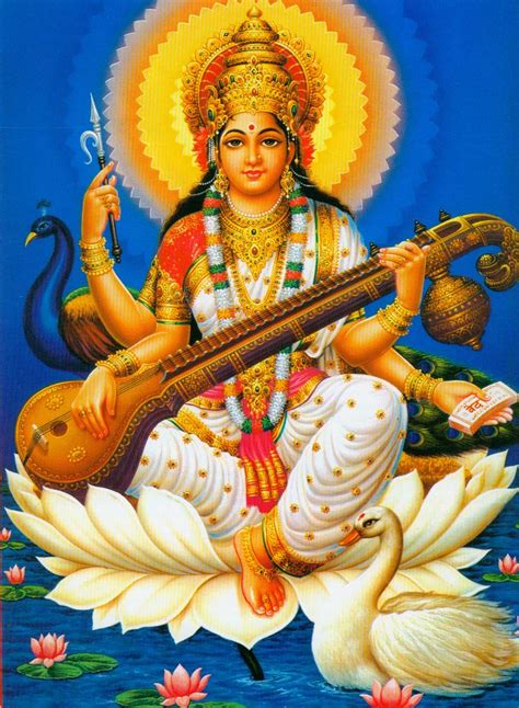 Opiniones de sarasvati