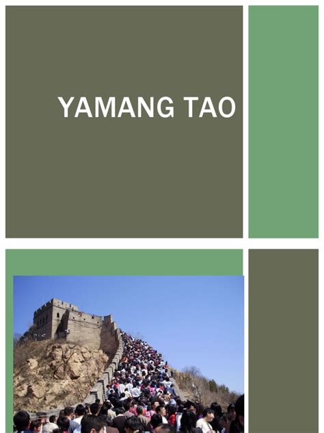 Yamang Tao | PDF