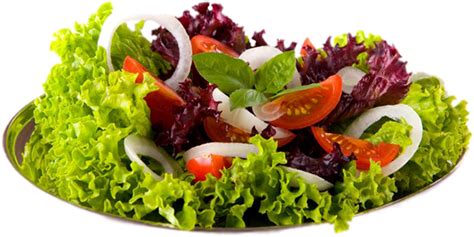 Tube Aliments Salade Composée Food Mixed Salad Png