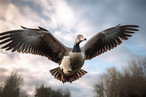 Premium Ai Image A Goose In Flight