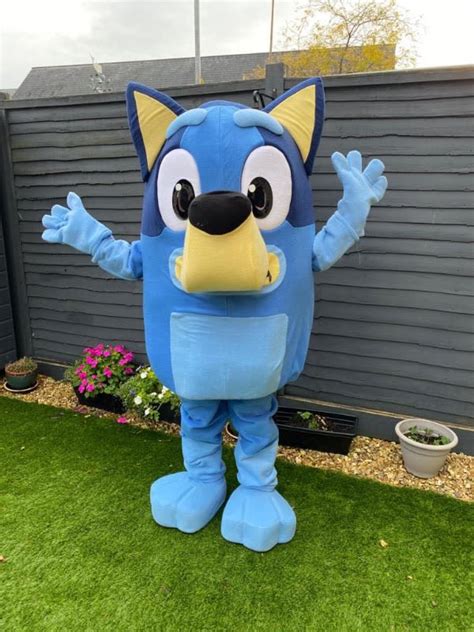 Bluey Mascot North Devon Events