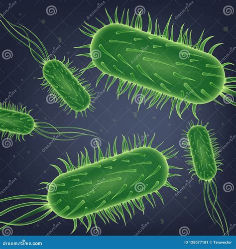 Pathogenic Microflora In The Intestine Dysbacteriosis Dysbiosis