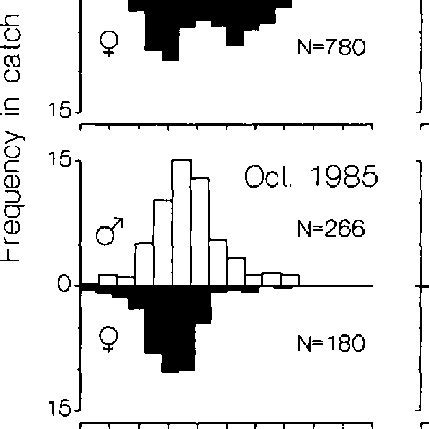 Size frequency distributions of male and female Panulirus ornatus in... | Download Scientific ...