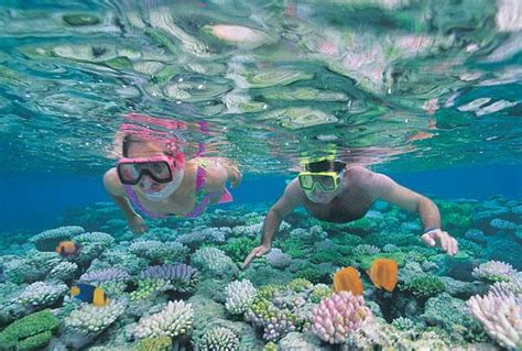 D N Redang Island Snorkeling Package Ticket U