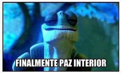 Finalmente Paz Interior Humor Gracioso Kung Fu Panda Tortuga Kung