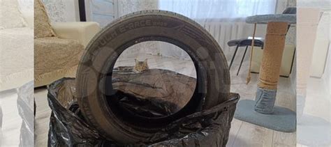 Rotalla Setula E-Race RH05 205/55 R16 91V купить в Челябинске | Авито