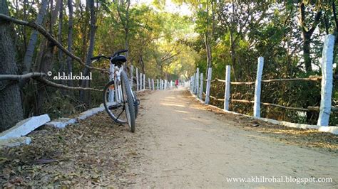 The Pala Pitta Cycling Park of Hyderabad | Rohal's Diary