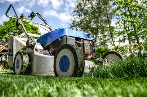 10 Things to Check When Buying a Used Lawn Mower - Agriteer