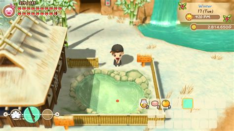 Story Of Seasons Friends Of Mineral Town Guardian Fish Hot Spring