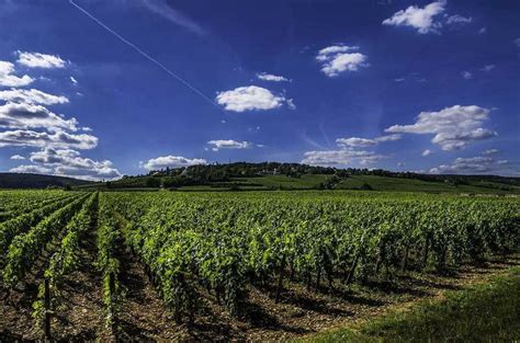 Sur La Route Des Vins De Bourgogne Des Domaines De Passion