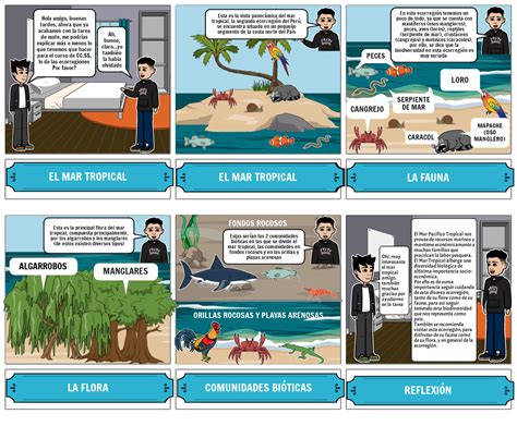 ECORREGION MAR TROPICAL Storyboard Por 365293a0