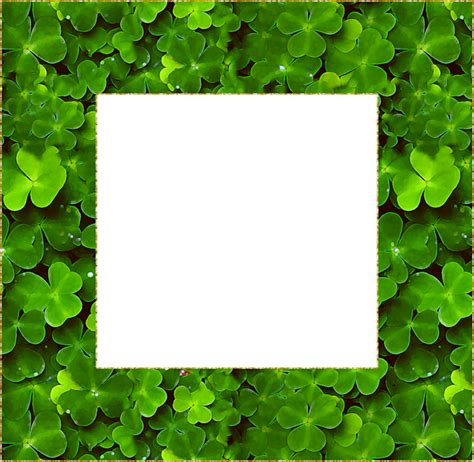 ♣ Cadre Png St Patrick ♣ St Patricks Day Frame Clover ♣